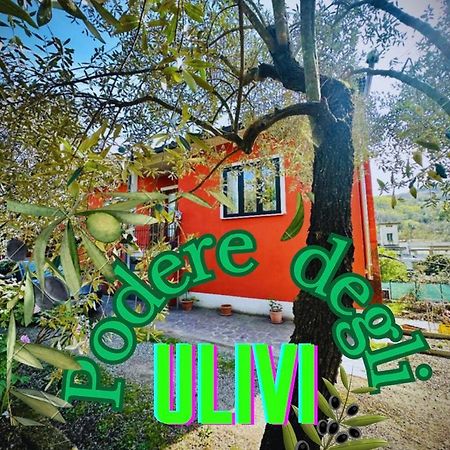 Podere Degli Ulivi Family Villa Serravalle Pistoiese Ngoại thất bức ảnh