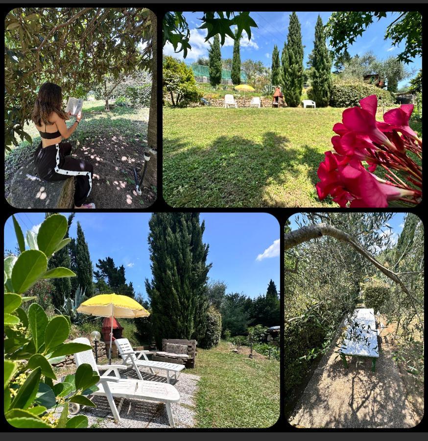 Podere Degli Ulivi Family Villa Serravalle Pistoiese Ngoại thất bức ảnh